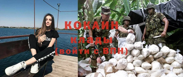 Альфа ПВП Горняк